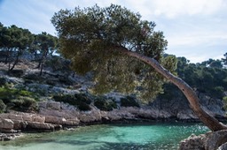 Calanques Cassis